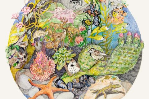 Seeding cultures of care and kinship