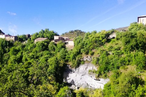 Ulex center in Spain